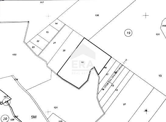 Парцел с голяма площ в село Млада Гвардия община Ветрино област Варна