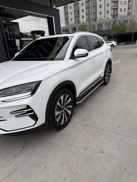 BYD chempion 150 tali full 2024 top toza