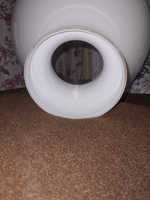 Плафон белый редкий.