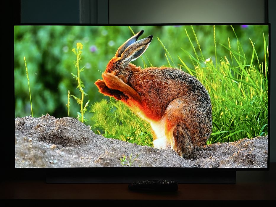 Televizor LG OLED48CX3LGB, 122 cm, Smart, 4K Ultra HD, 120Hz