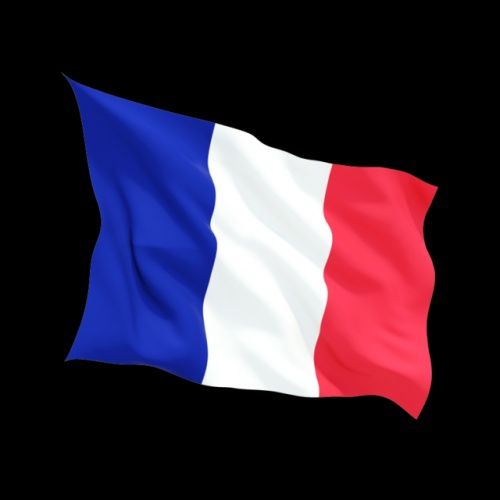 Уроци по френски език при квалифициран преподавател