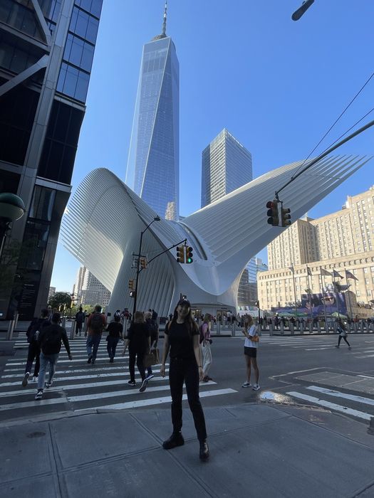 Сопровождение по визе США, Канада, Англия