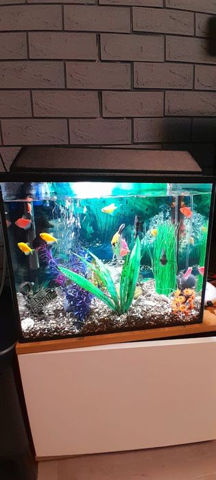 Продам аквариум
