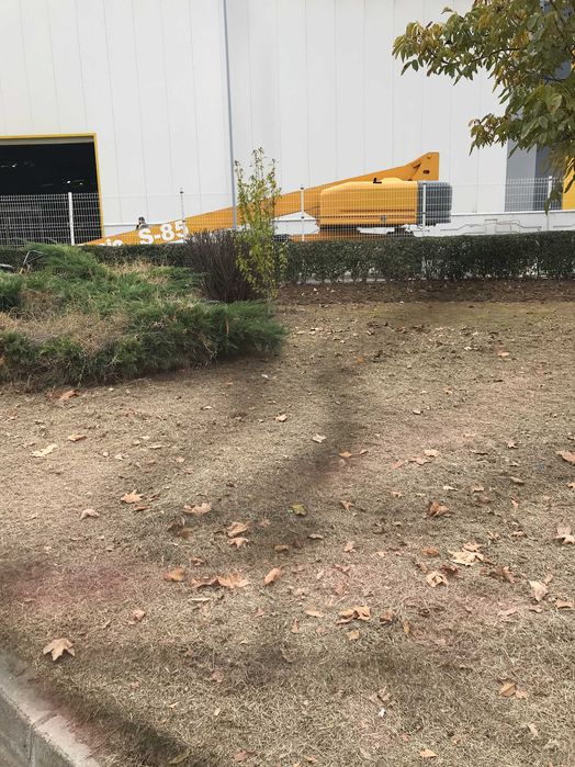 Професионално озеленяване и изграждане на поливни системи