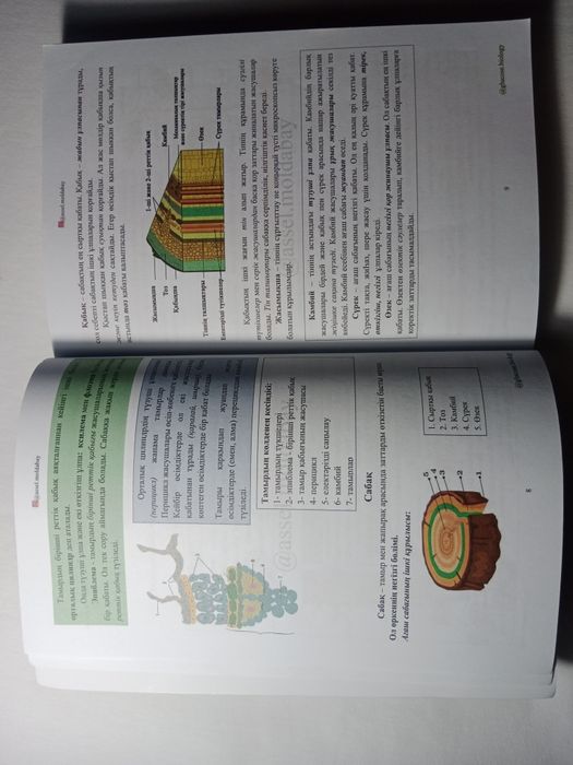 Glucose для подготовки к ент
