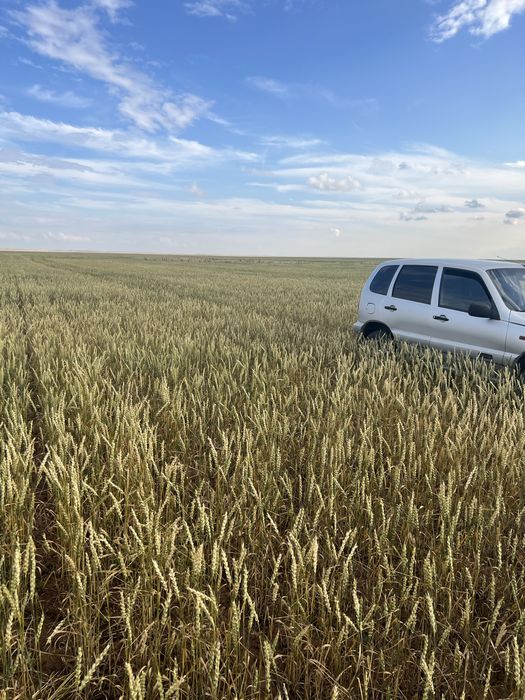 Продам  крестьянское хозяйство