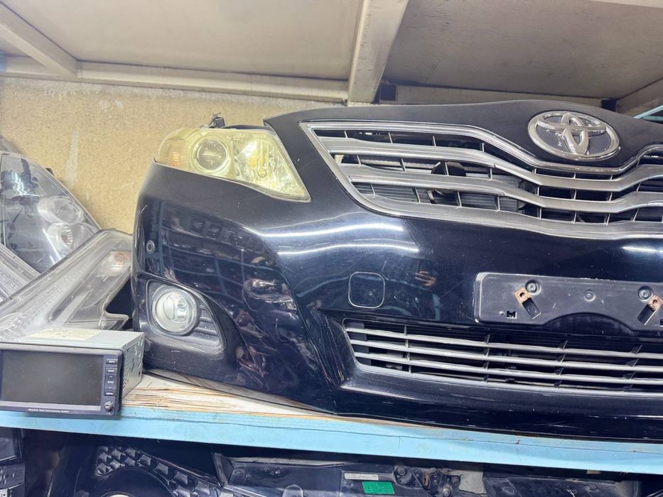 Ноускат мини морда камри 45 американец