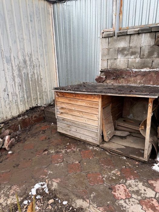 Бутка для больших сабак