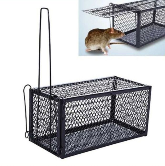 Sichqon,Kalamush,Mushuk,Qopqon