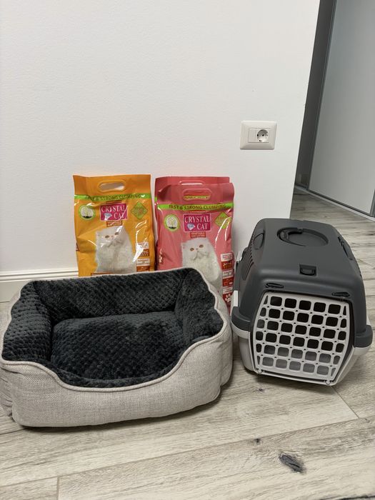 Cușcă de transport , nisip + fântână de apă pisici