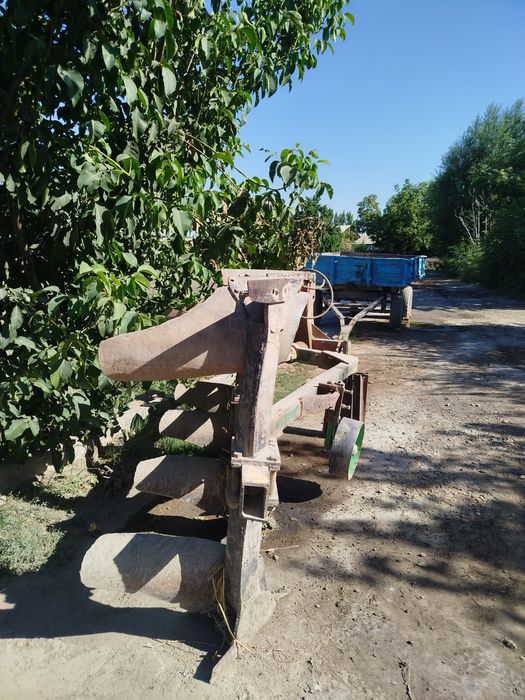 Pillik yangiday zur xolatda