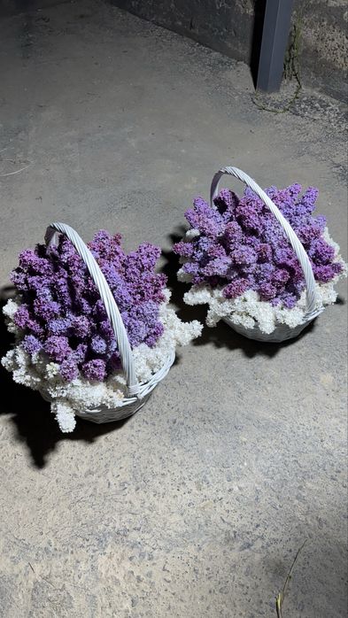 Сирены в корзинках