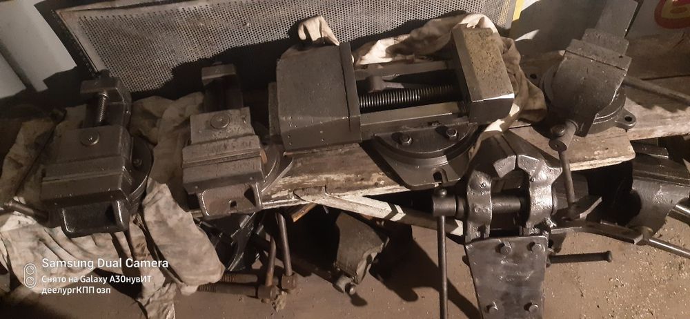 тисы средние СССР