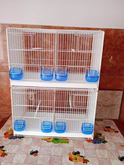 Colivi duble cova 58