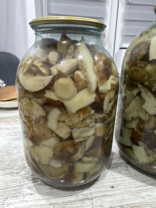 Пподам грибы валуи