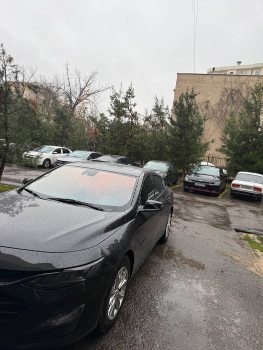 Solntsa zashita Tonirovka Bronirovka Laminatsiya sifatli xizmatlarda