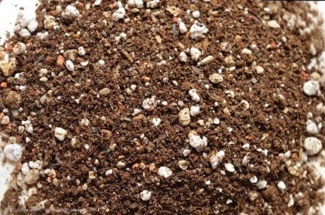 Грунт для комнатных цветов