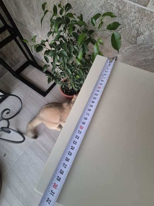 Продам приставной столик