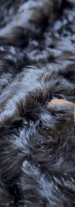 ASTRAHAN KARAKUL negru Persian Lamb - Bucle vintage
