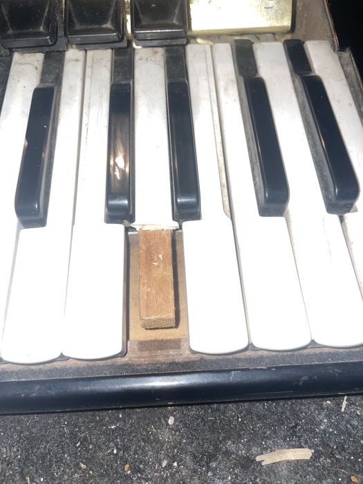 Weltmaister supita S5 estetic distrus, necesita reparatii