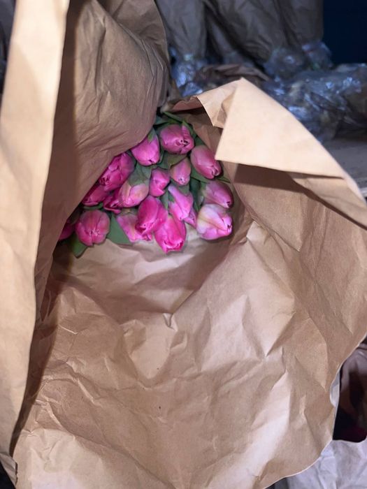 Тюлпаны Алматы опт розница