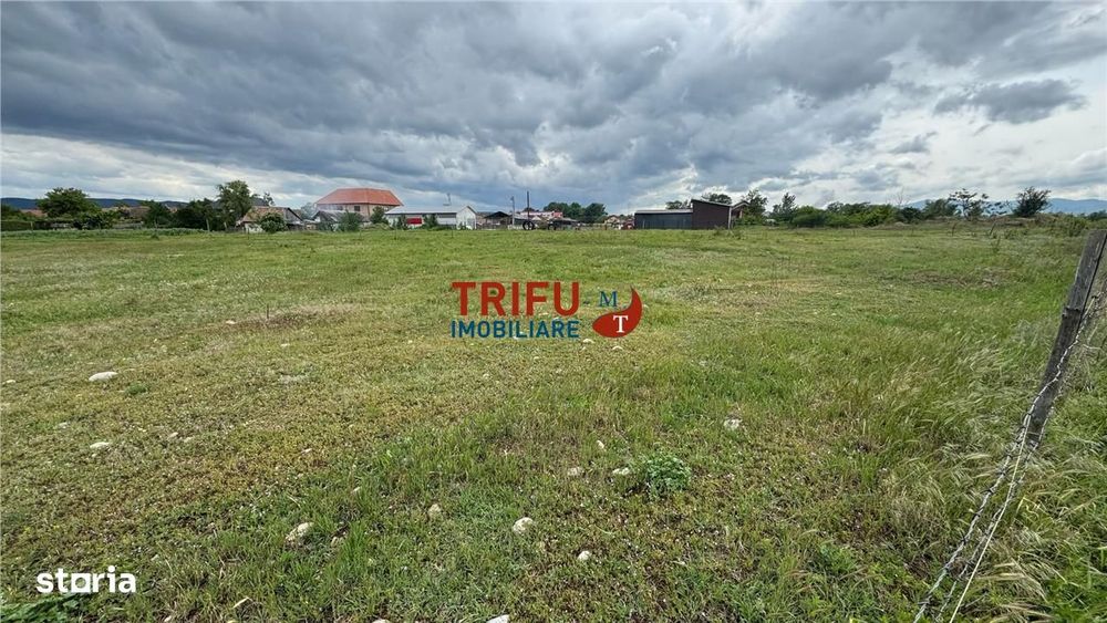 Teren de vanzare in sebes 5500 mp