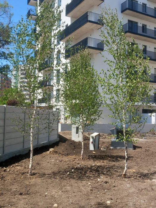 Decorațiuni exterioare/cascade ,aleii japoneze