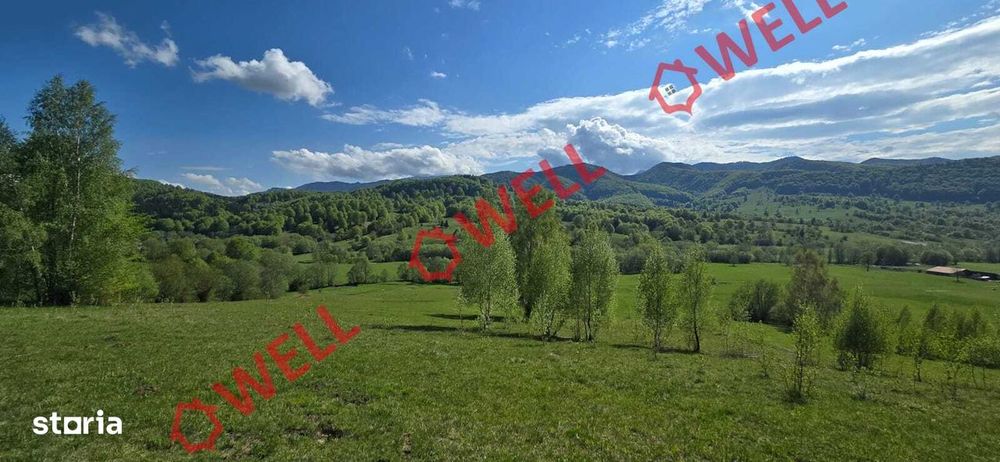 Teren extravilan de vânzare în Vama Buzăului!
