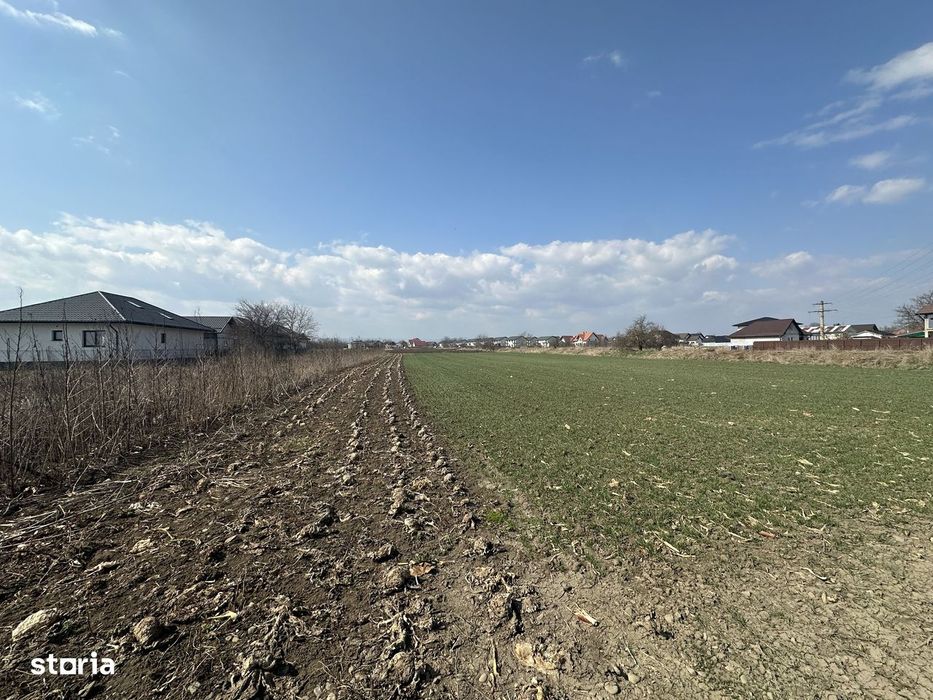Teren intravilan 20 ari | Rădăuți | Front stradal 19.49 m