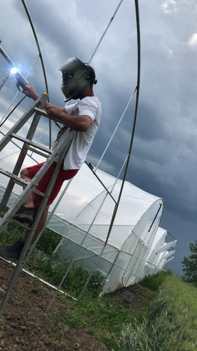 Solare legume și flori