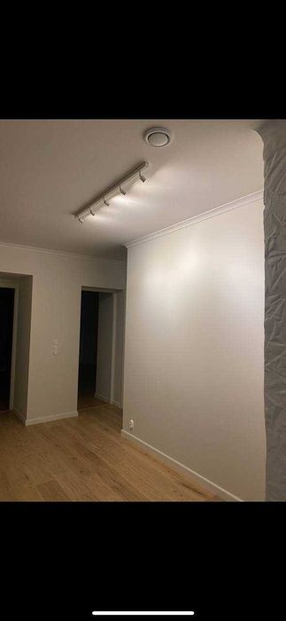 Профессиональный ремонт домов и квартир