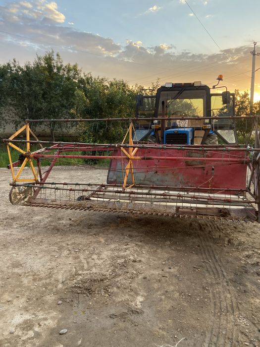 Beda va sholi oʻradigan jatka