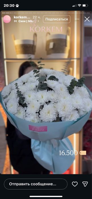 Срочно продаю цветы!! 4 вида