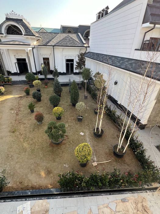 Gazon ,газон газоны автополив