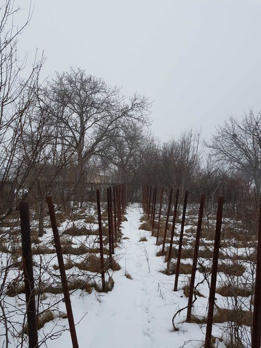 Teren 2.000 mp Domnești – zonă centrală, utilități, ideal investiție