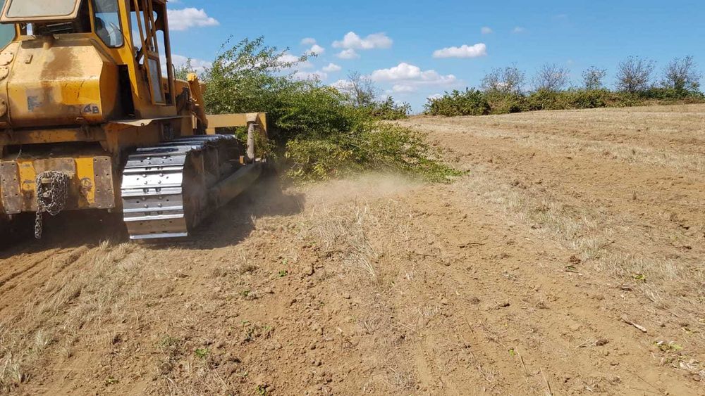 Defrisare , pregatiri terenuri agricole ,recoltare salcie energetica !