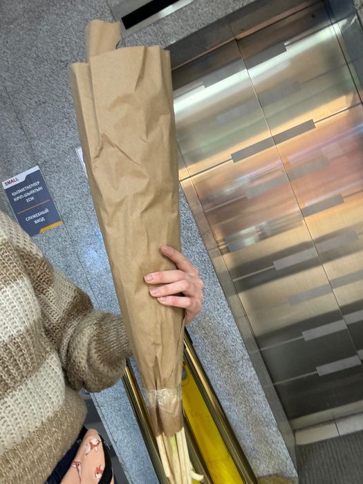 Тюльпаны высокие большие