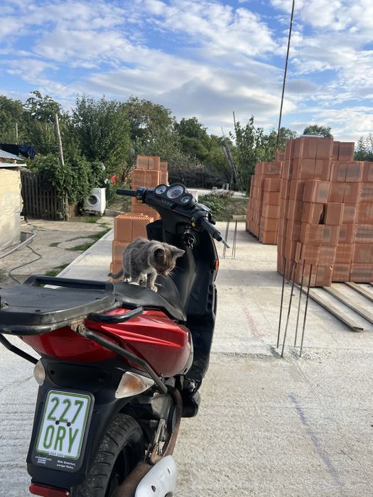 Scuter Peugeut SpeedFight 2