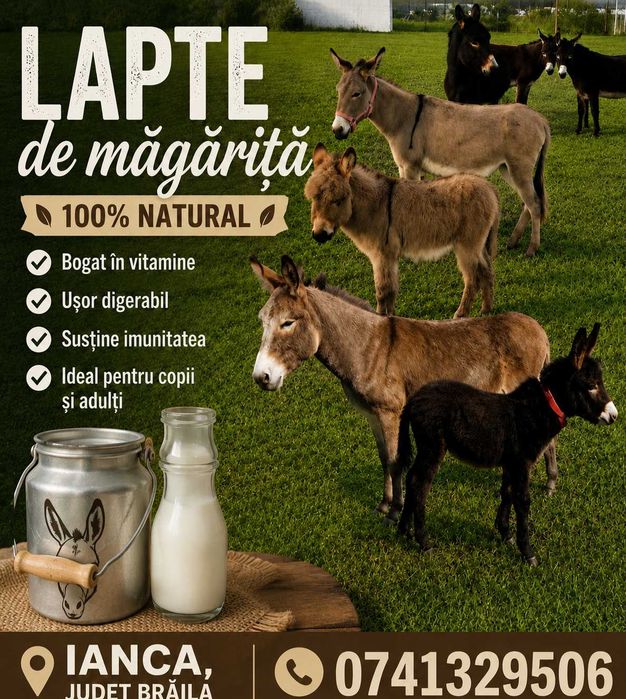 Lapte de magarita