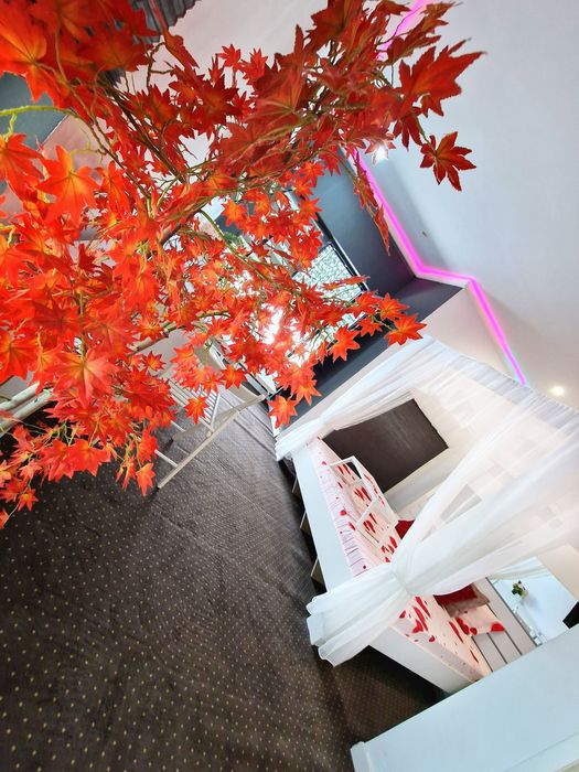 Regim hotelier cazare  Constanta  apartament garsoniere plaja