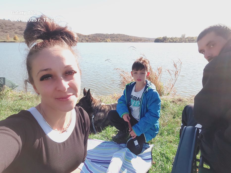 Гледане на домашни любимци