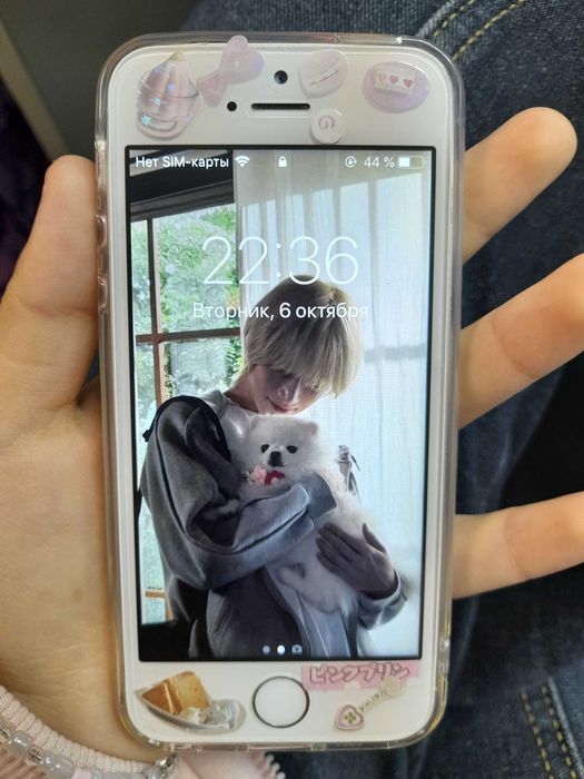 iphone 5s айфон 5с