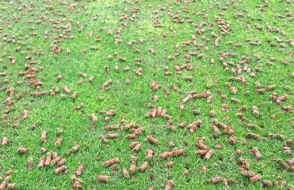 Aerator profesional pentru gazon (aerare gazon)