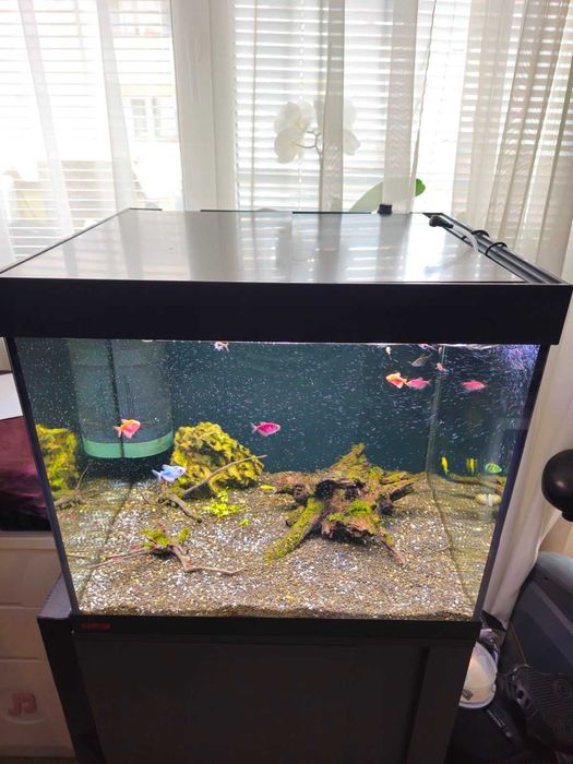 Аквариум с поставка / шкаф EHEIM Vivaline 150 + цялостно оборудване