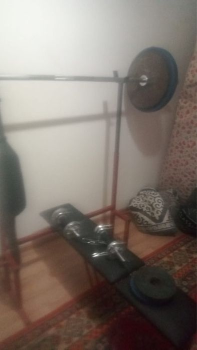 Проф штанга лежак