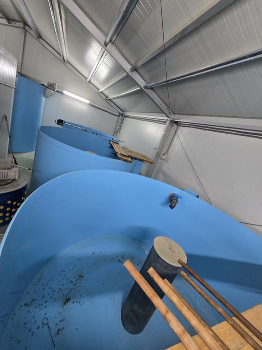 Bazine piscicole , pescărie,