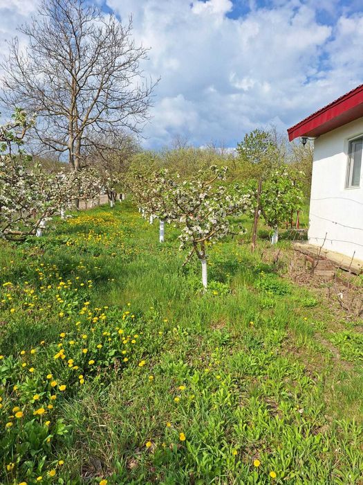 Casa P+M, direct proprietar, teren 2093 mp