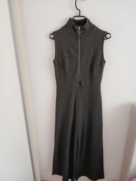 Salopeta stradivarius