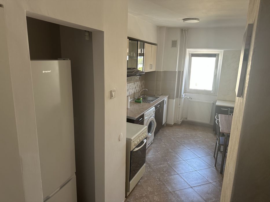Apartament 1 camera Pacurari