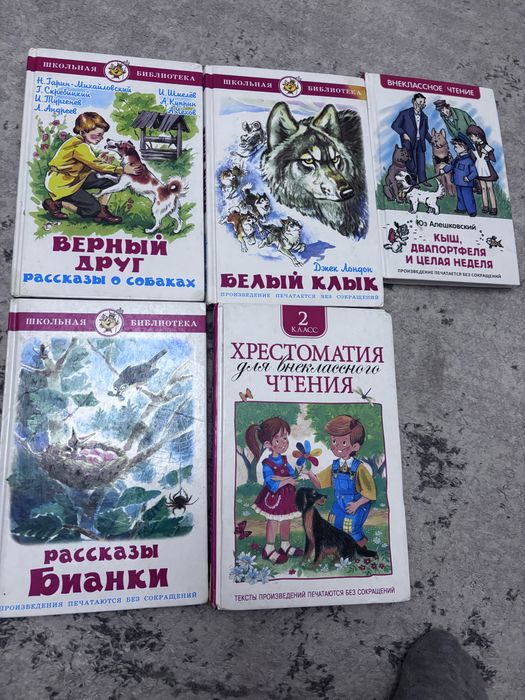 Книги для деней и внекласного чтения